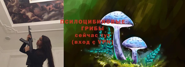 mix Алексин